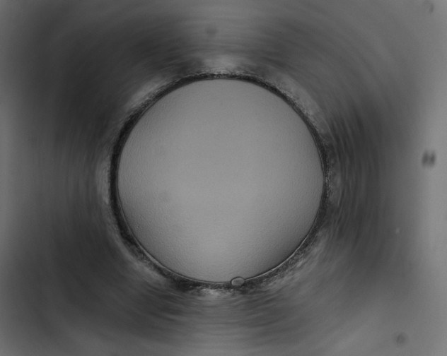 X0000103320442200809261140