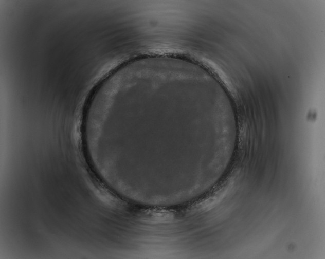 X0000103320443200809261140