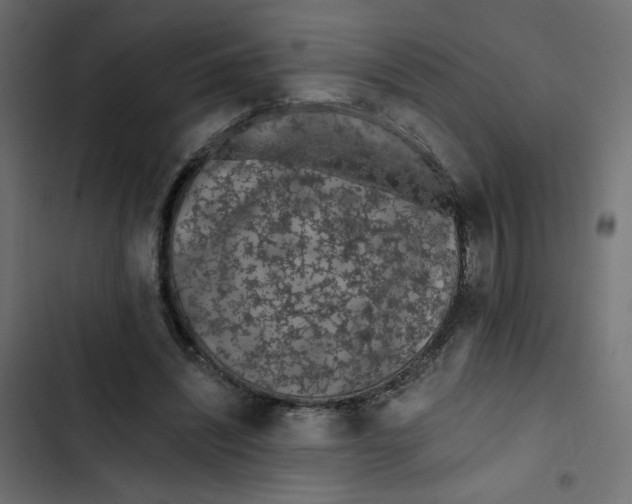 X0000103320444200809261140