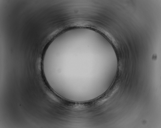 X0000103320445200809261140