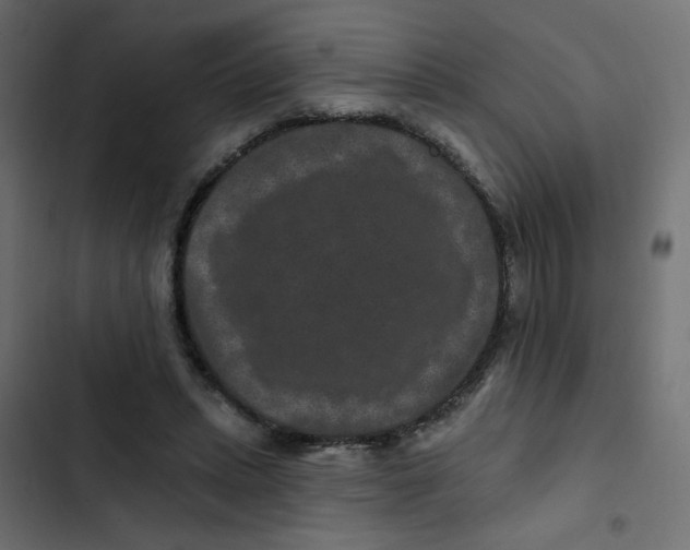 X0000103320447200809261140