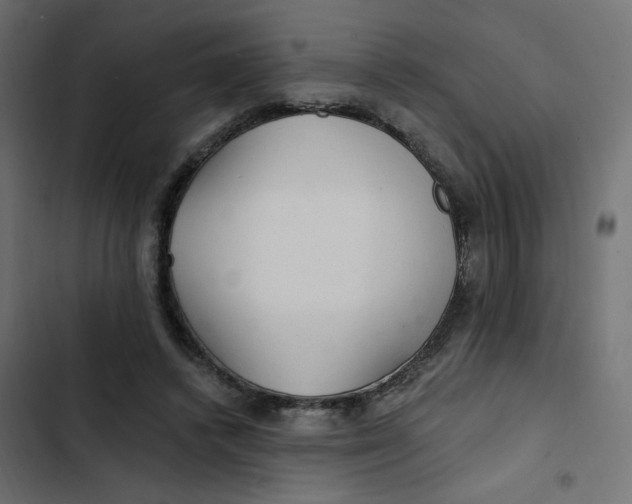 X0000103320448200809261140