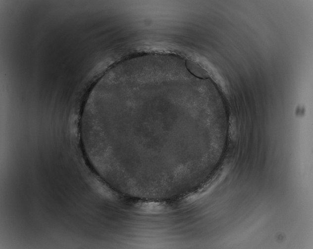 X0000103320449200809261140