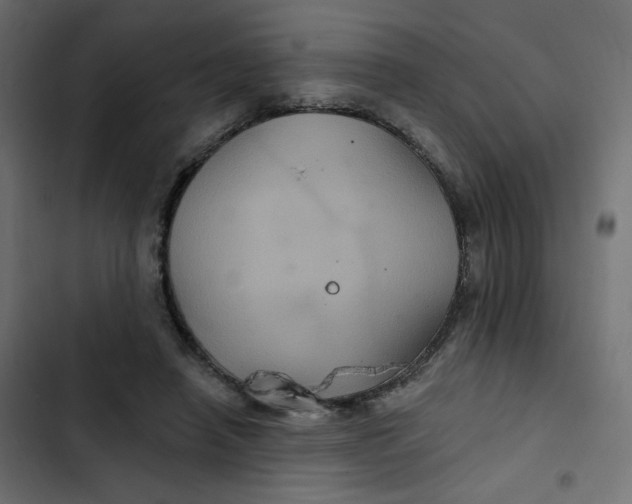 X0000103320450200809261140