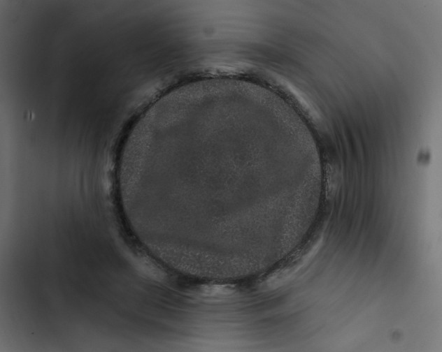 X0000103320451200809261140