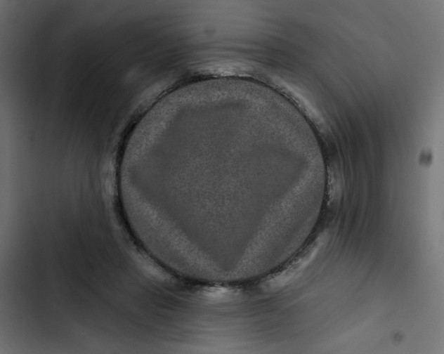 X0000103320453200809261140