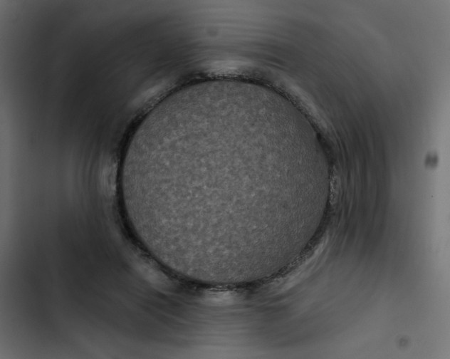 X0000103320454200809261140