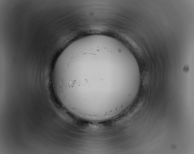 X0000103320455200809261140