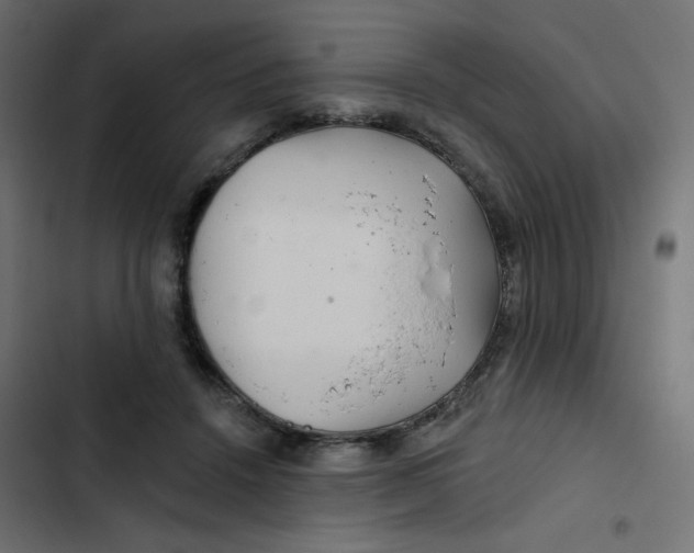 X0000103320456200809261140