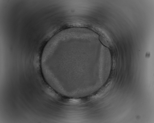 X0000103320457200809261140