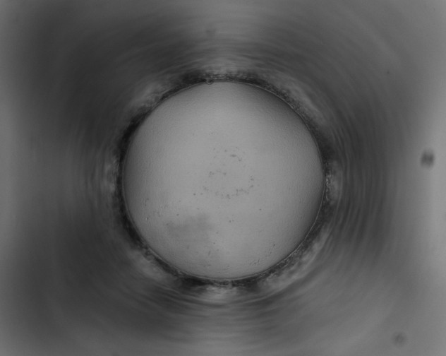 X0000103320458200809261140