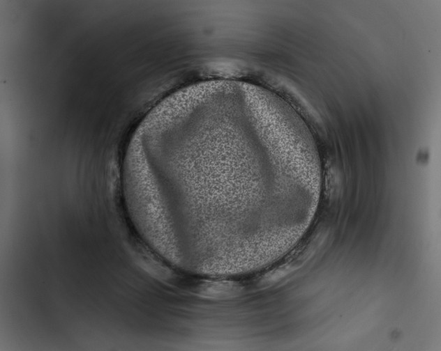 X0000103320459200809261140