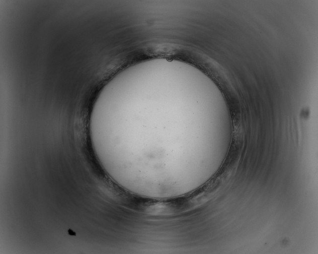 X0000103320460200809261140