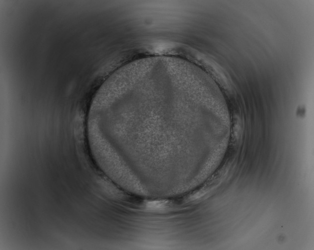 X0000103320461200809261140