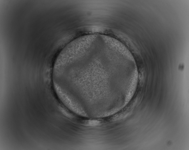 X0000103320462200809261140