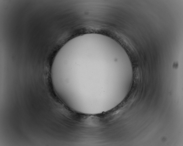 X0000103320463200809261140