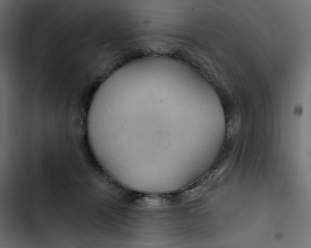 X0000103320464200809261140