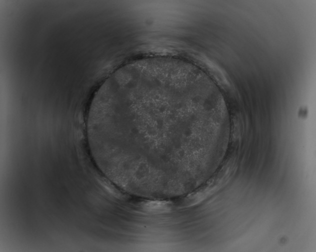 X0000103320465200809261140