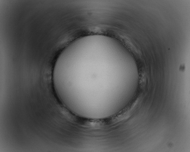 X0000103320466200809261140