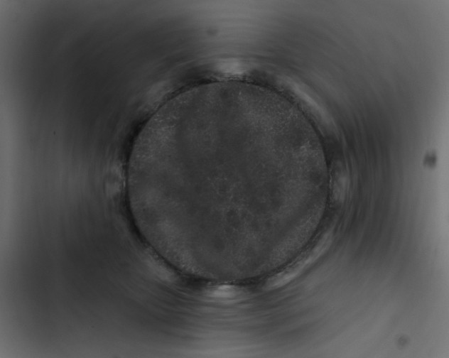 X0000103320467200809261140