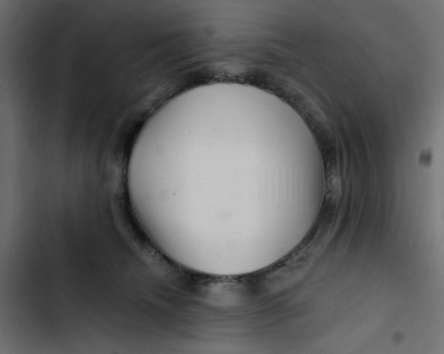 X0000103320468200809261140