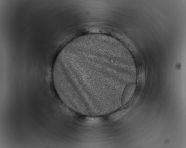 X0000103320469200809261140