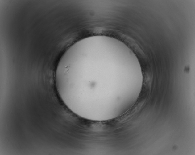 X0000103320470200809261140