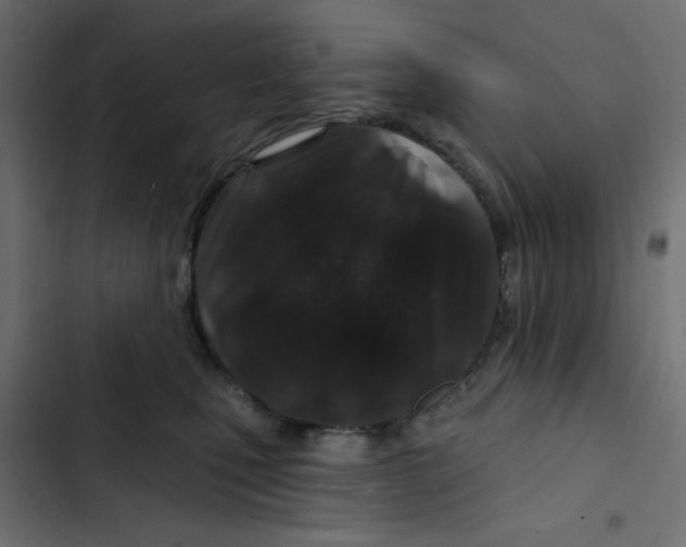 X0000103320471200809261140