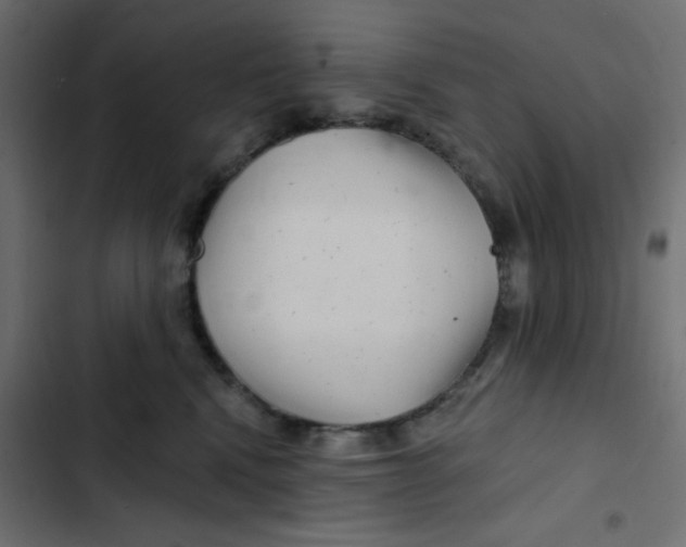 X0000103320472200809261140