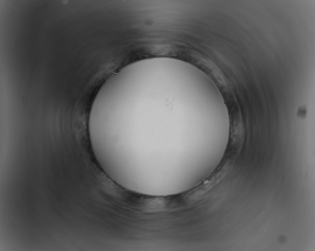 X0000103320473200809261140