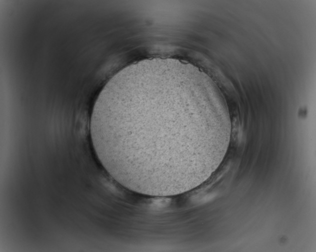 X0000103320474200809261140