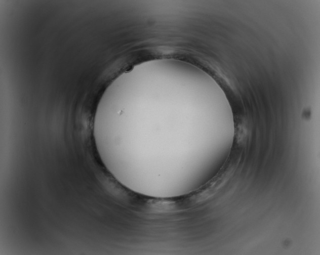 X0000103320476200809261141