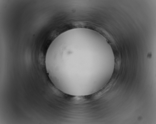 X0000103320477200809261141