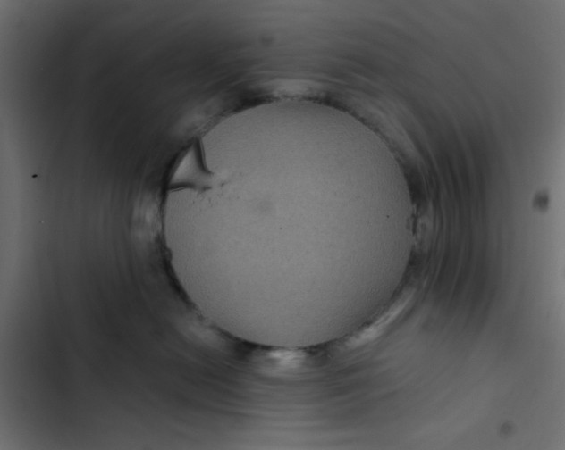 X0000103320478200809261141