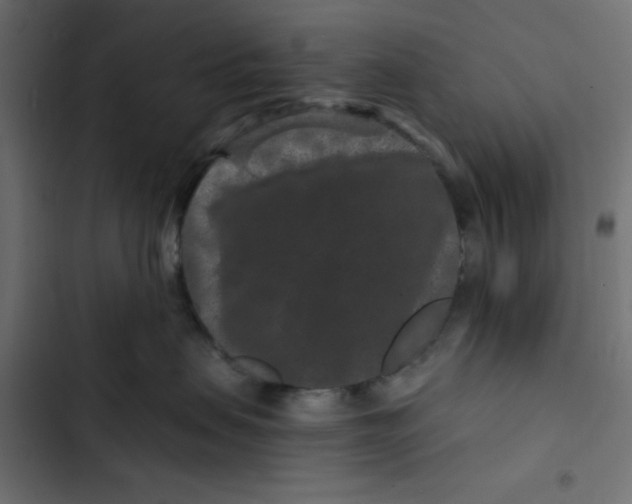 X0000103320479200809261141