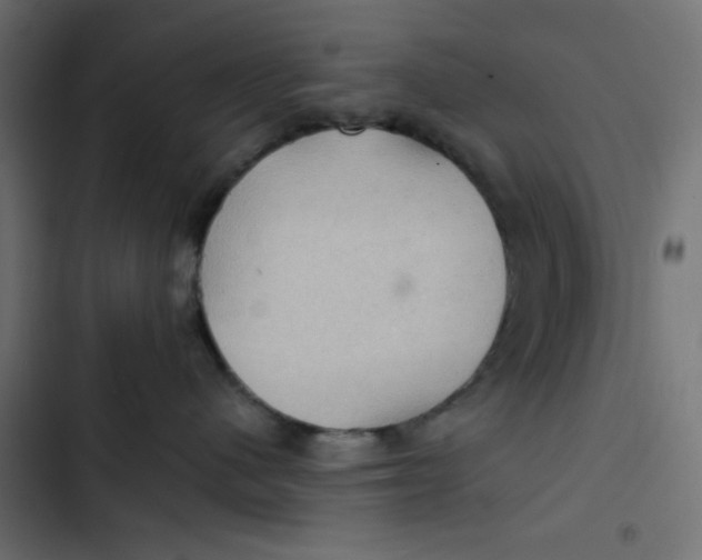 X0000103320480200809261141