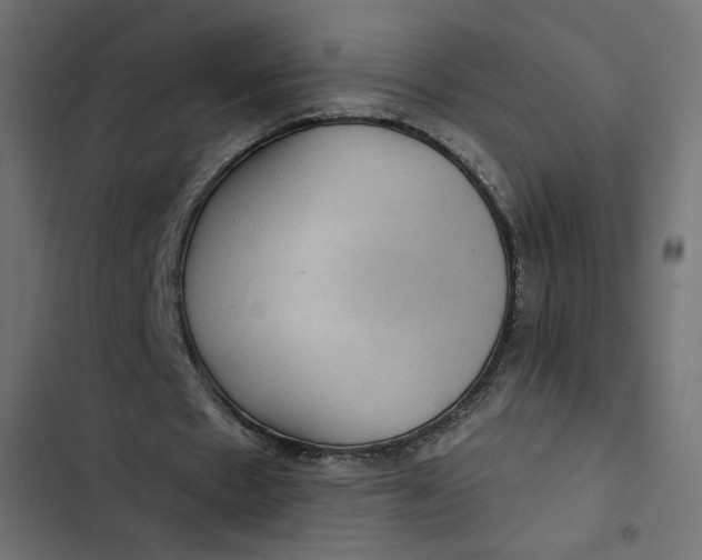 X0000103320481200809261140