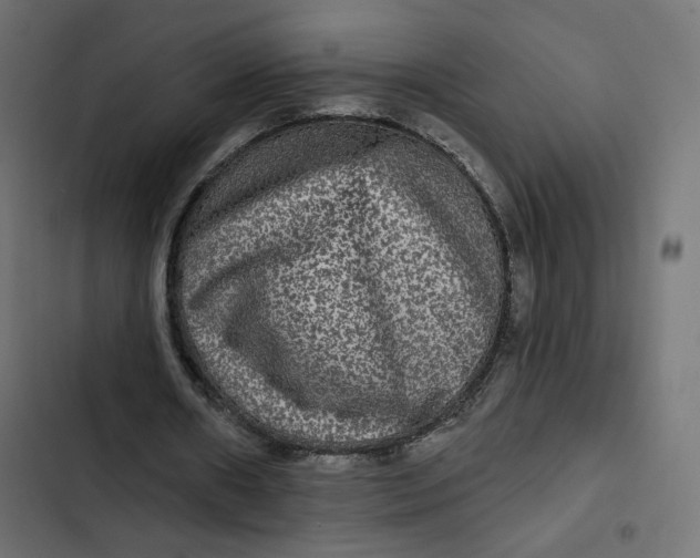 X0000103320482200809261140