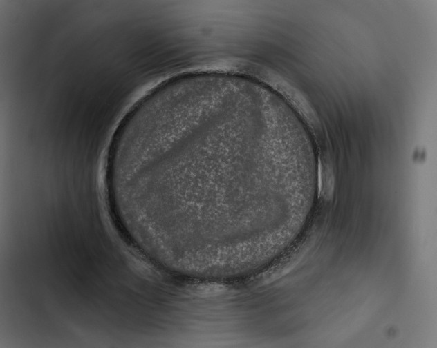 X0000103320483200809261140