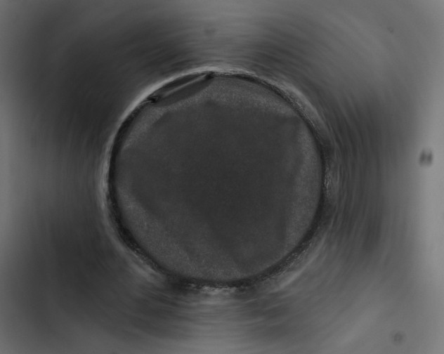 X0000103320484200809261140