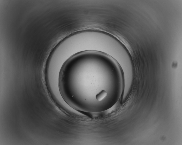 X0000103320485200809261140