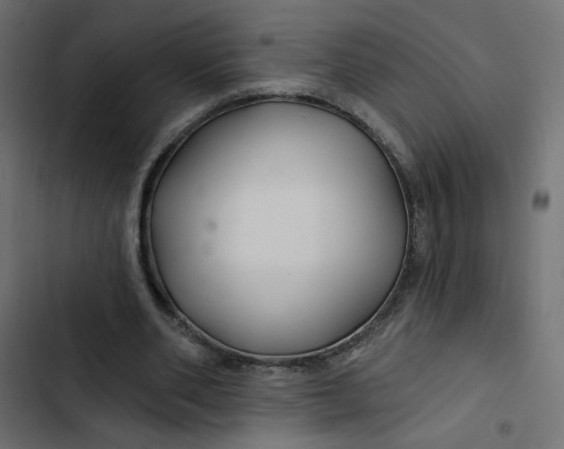 X0000103320486200809261140