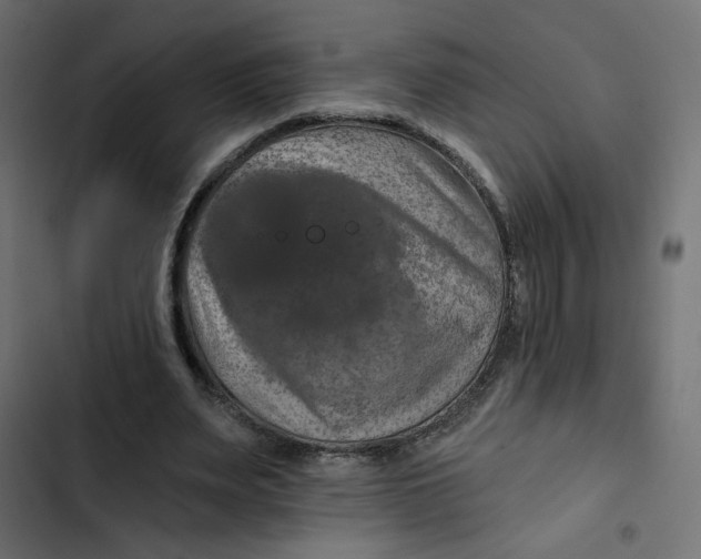 X0000103320487200809261140