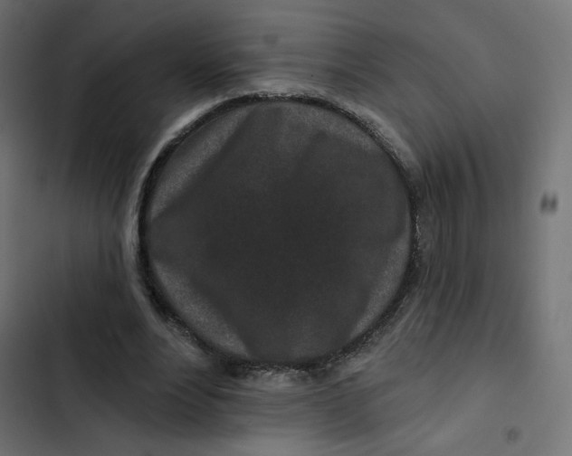 X0000103320488200809261140