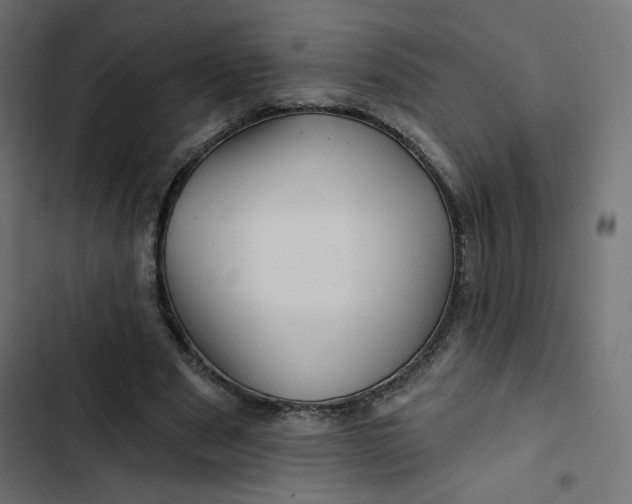 X0000103320489200809261140