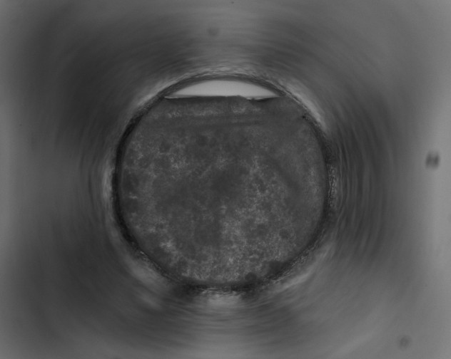 X0000103320491200809261140