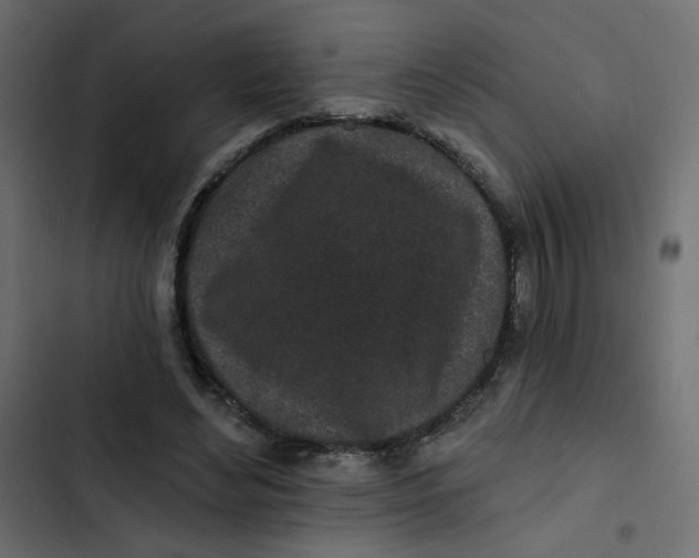 X0000103320492200809261140