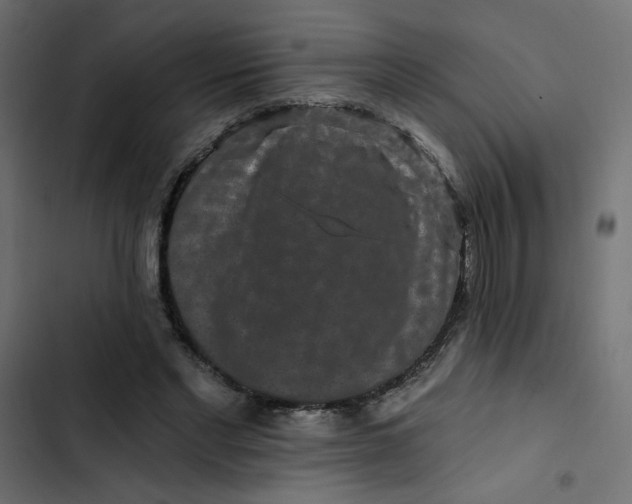 X0000103320493200809261140