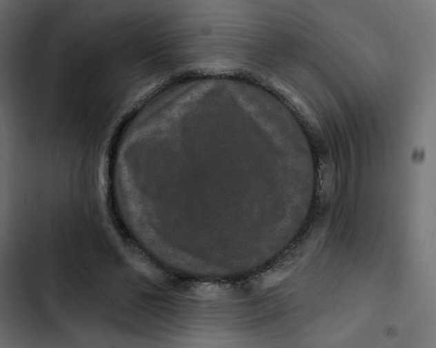 X0000103320494200809261140