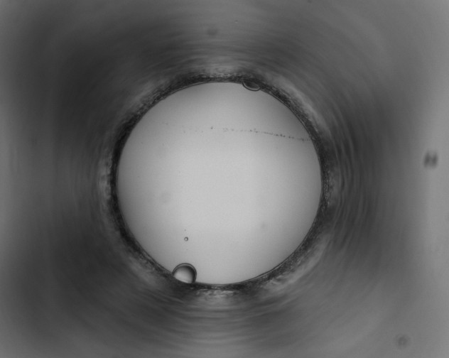 X0000103320497200809261140